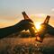 15 frases divertidas para enviarle a un amante del alcohol en el Día del Borracho