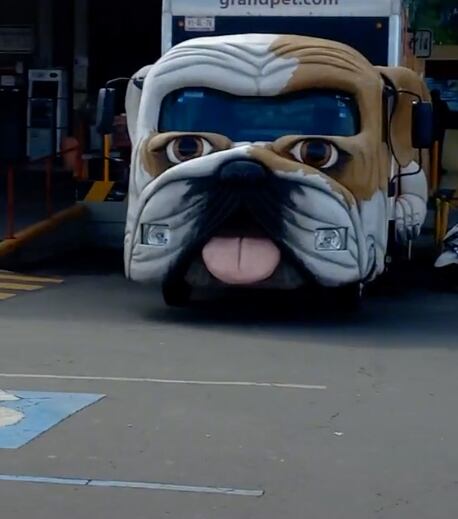 vehículo con rostro de perro
