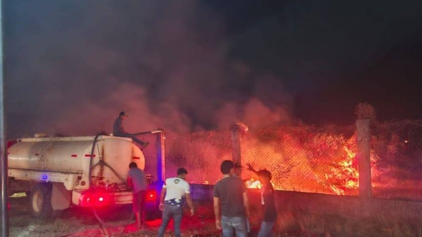 Sembrando Vida: incendio arrasó con más de mil árboles en Oaxaca