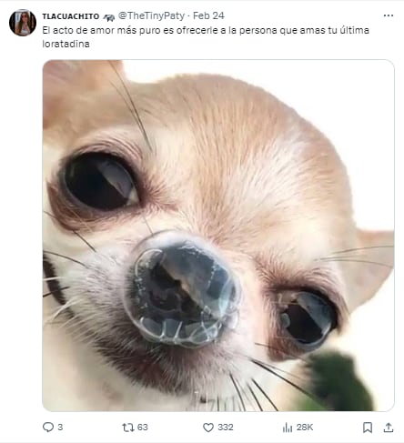 Memes de la loratadina porque es una aliado para las cenizas del Popocatépetl y la 'rara gripe'