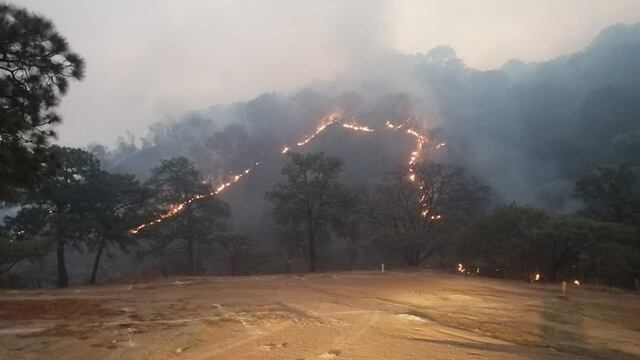 Incendio en La Primavera