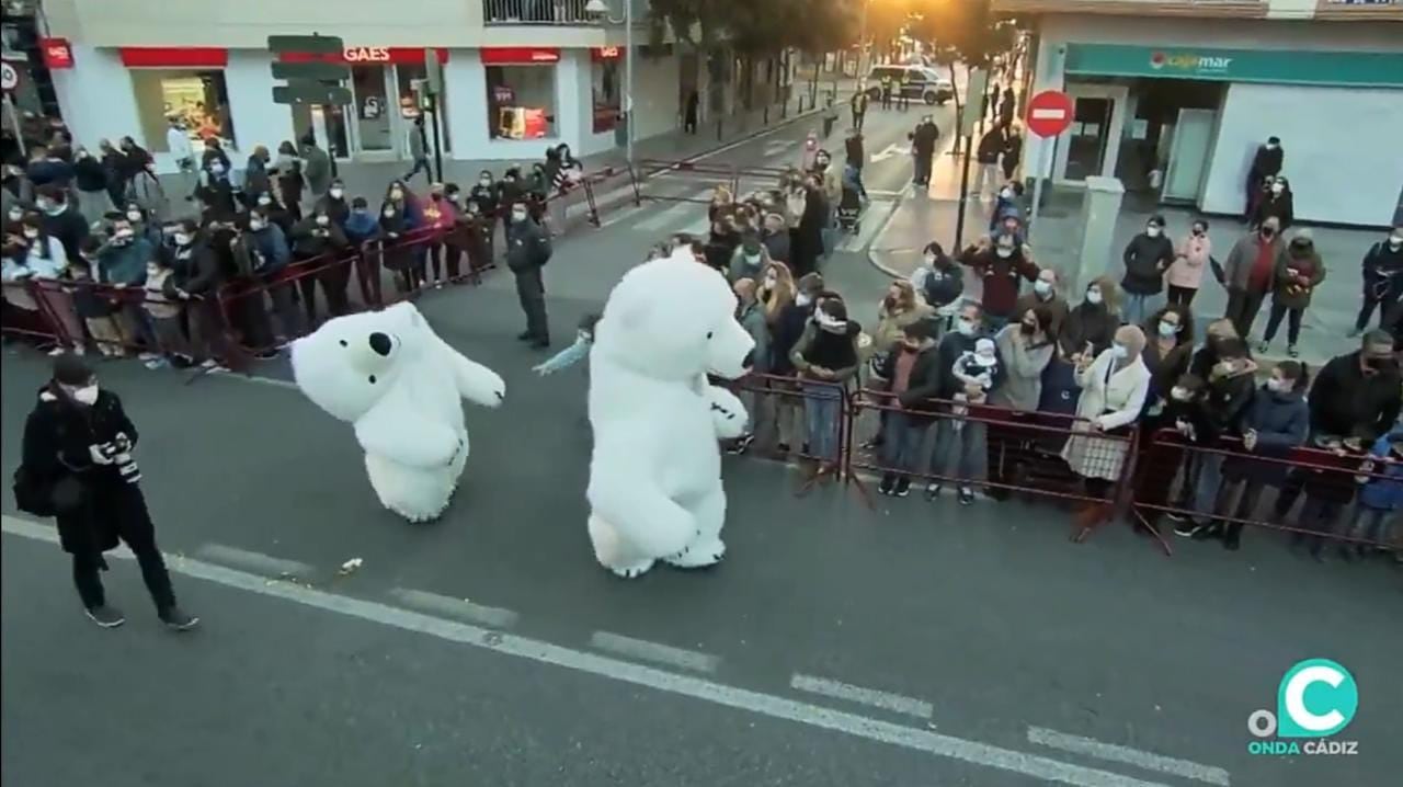 Botarga oso polar