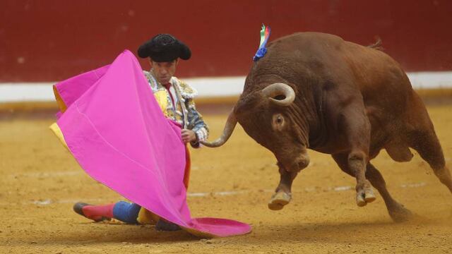 Desde niño he sido aficionado
