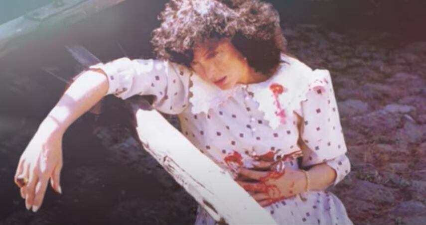 Imágenes de Jirón de niebla