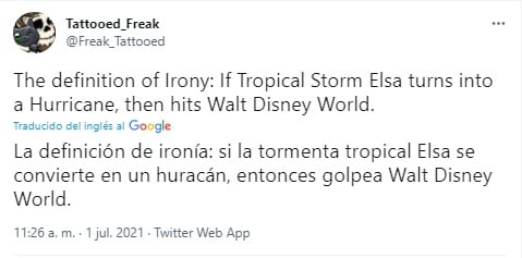 Tuit sobre Elsa en Disney World