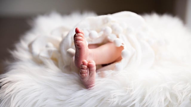 Maternidad subrogada