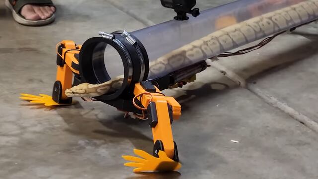 Serpiente caminando con patas robóticas