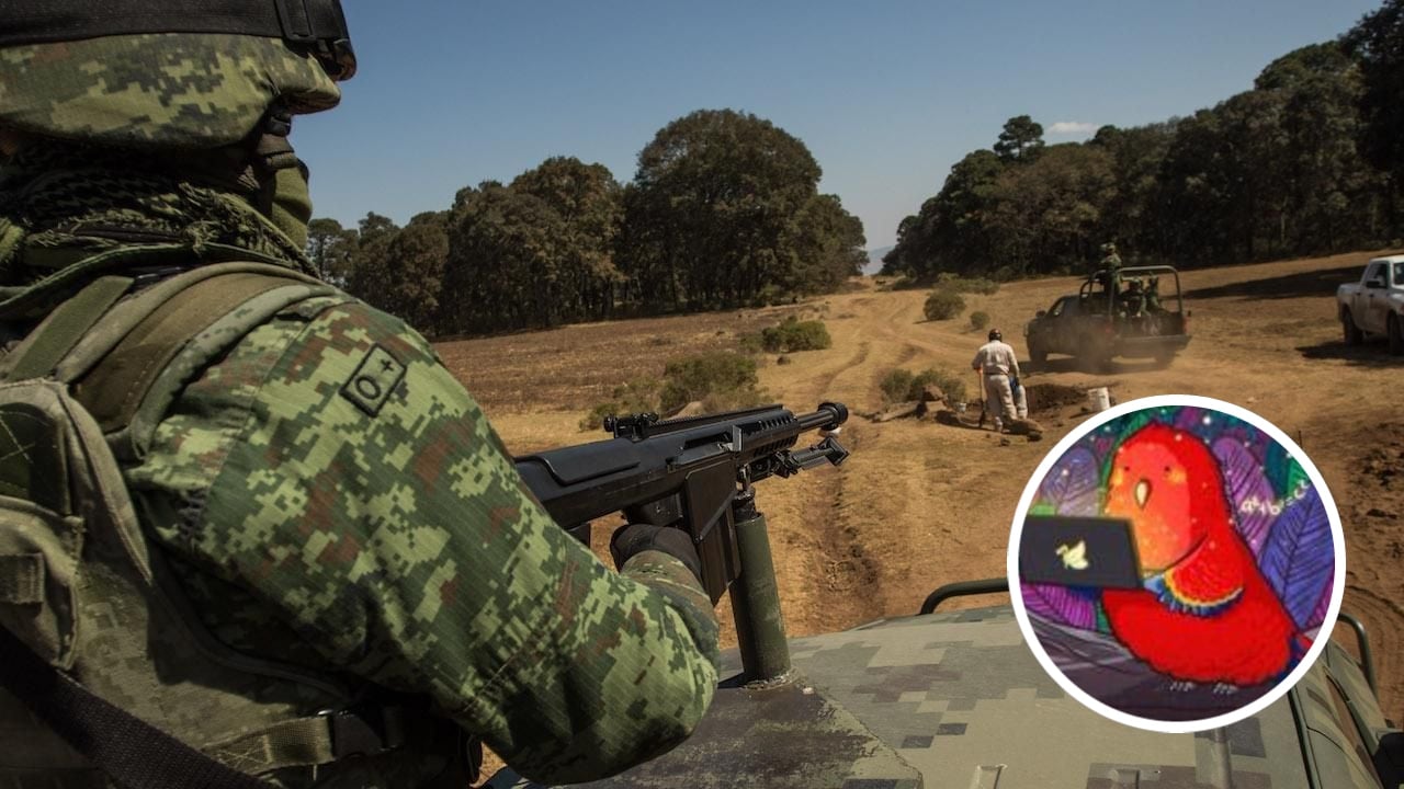 Guacamaya hackers: Sedena desactiva un explosivo al día de grupos criminales