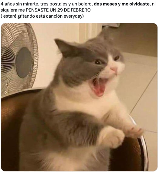 La canción de Morat inspira memes este 29 de febrero