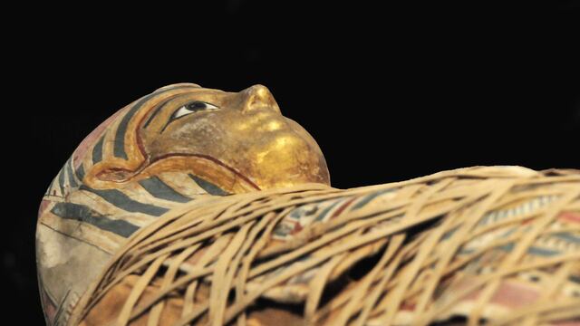 Las investigaciones indican que murió de 50 años por una reacción alérgica