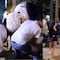 Un video en TikTok exhibe cómo se ‘robaron’ Snoopy de Festival de las Flores 2025 en Polanco