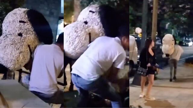 Aseguran que el Snoopy del Festival de las Flores 2025 en Polanco fue robado