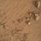 NASA Mars Rover Curiosity halla “flor” en Marte