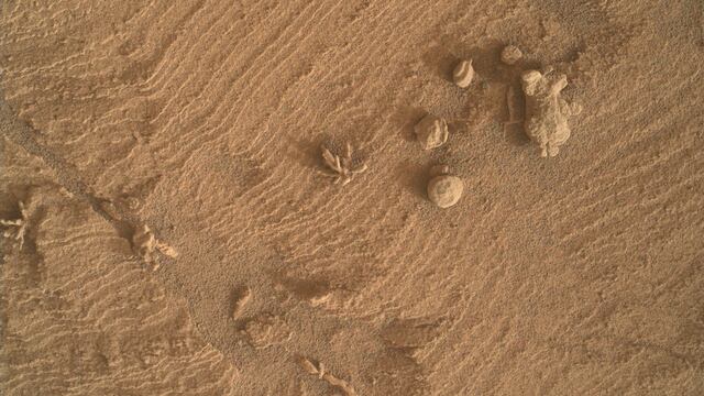 Sedimento con forma de Flor en Marte