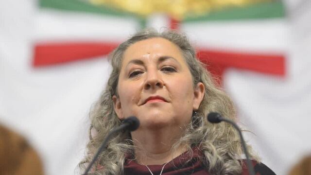 ¿Quién es Ana Francis López Bayghen Patiño?