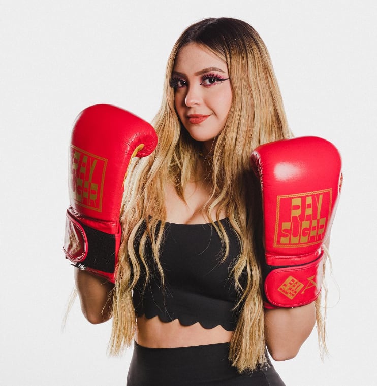 AriGameplays, streamer