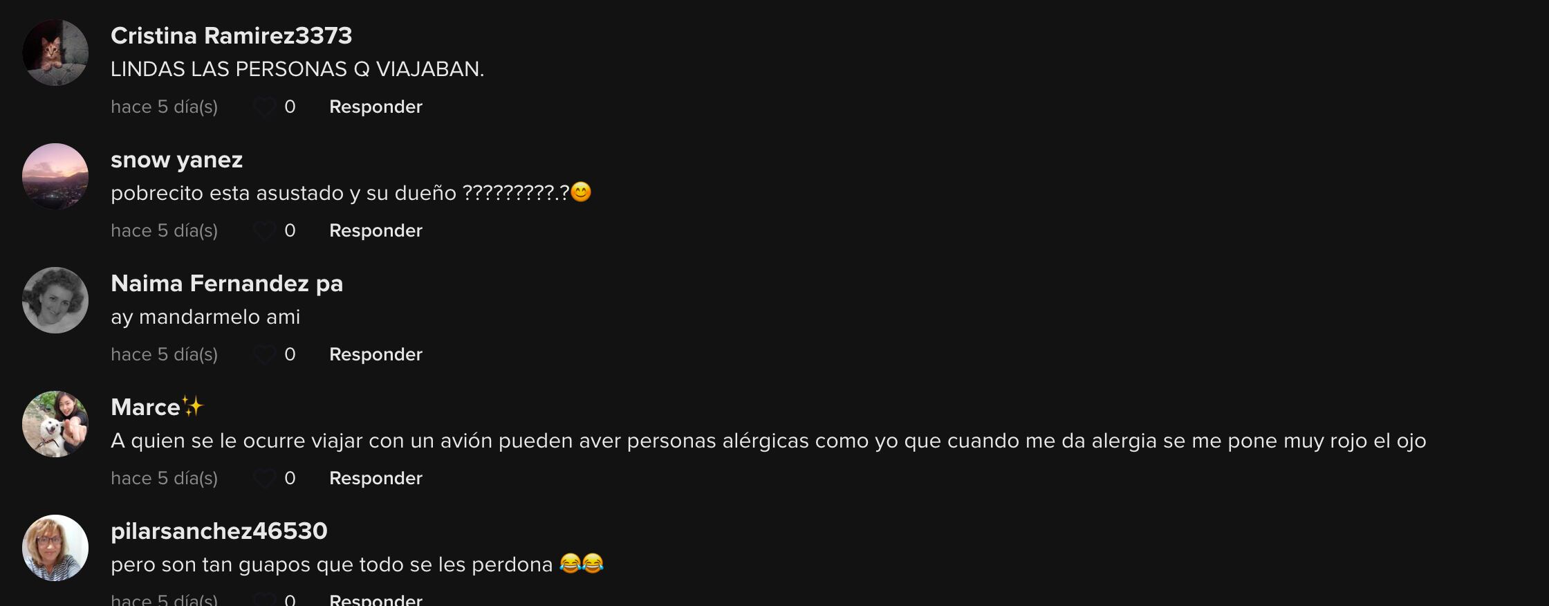 Comentarios al gatito de TikTok
