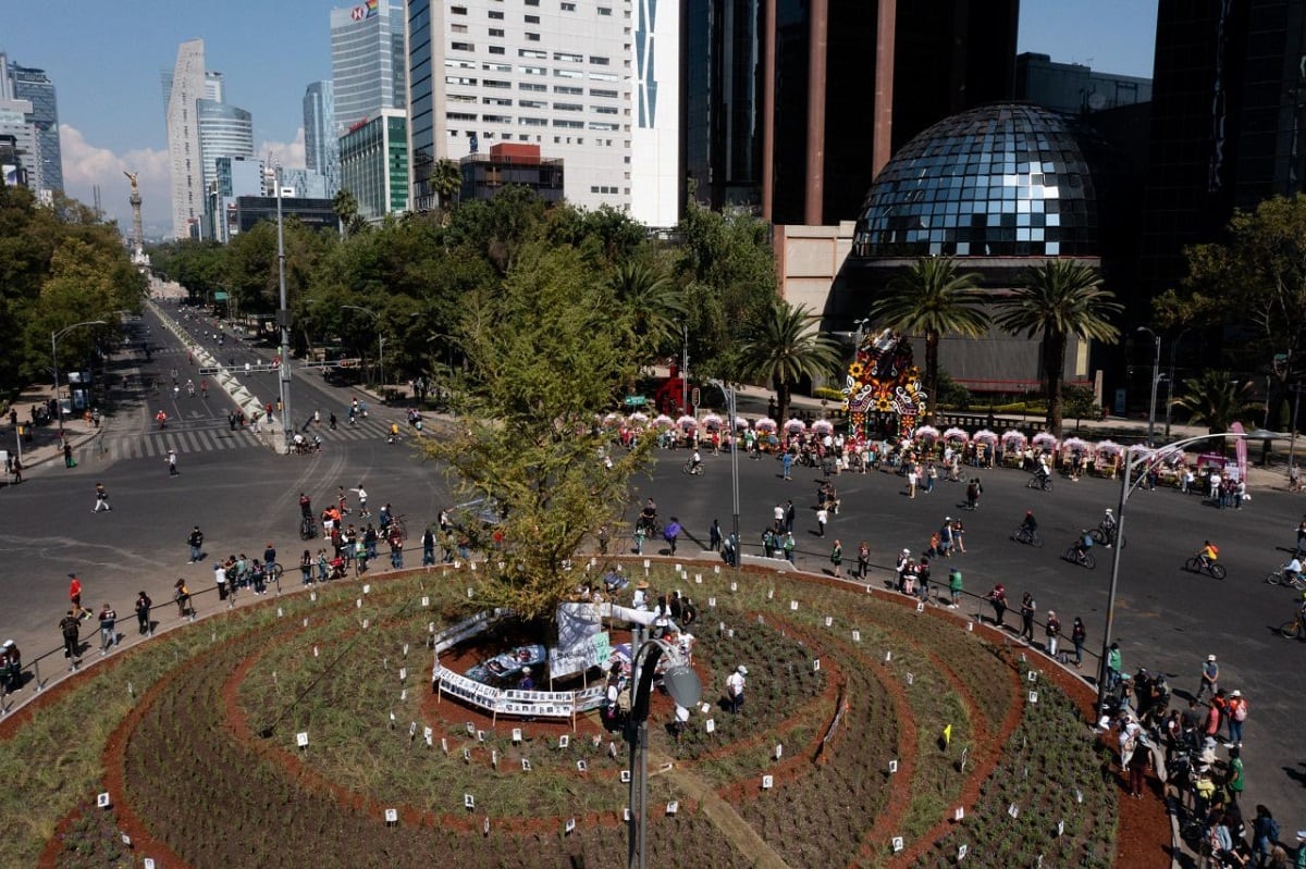 Familiares de personas desaparecidas se asientan en antigua Glorieta de la Palma