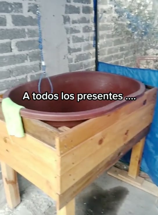 Renuncia a su trabajo y construye una estética canina