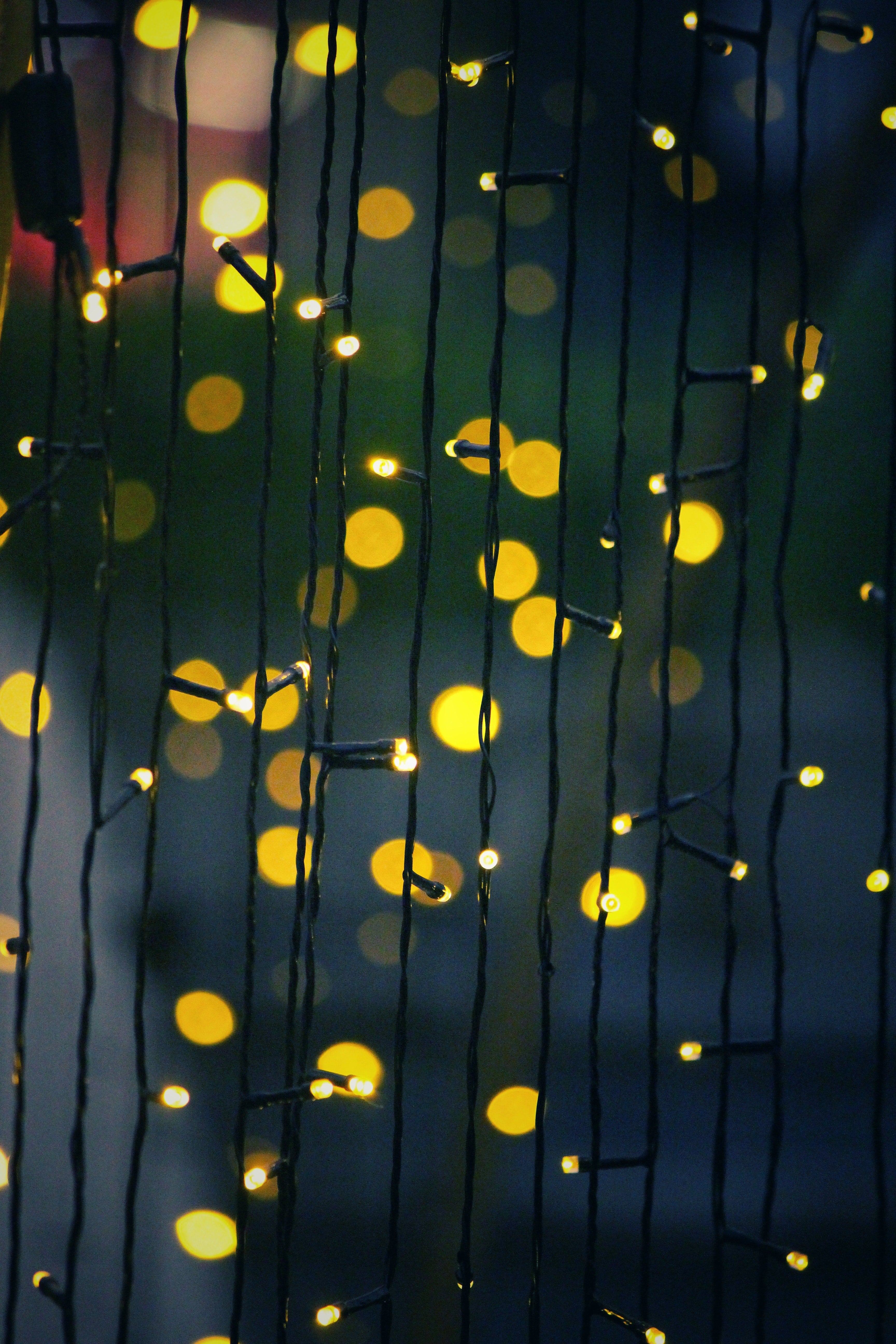 Luces navideñas.