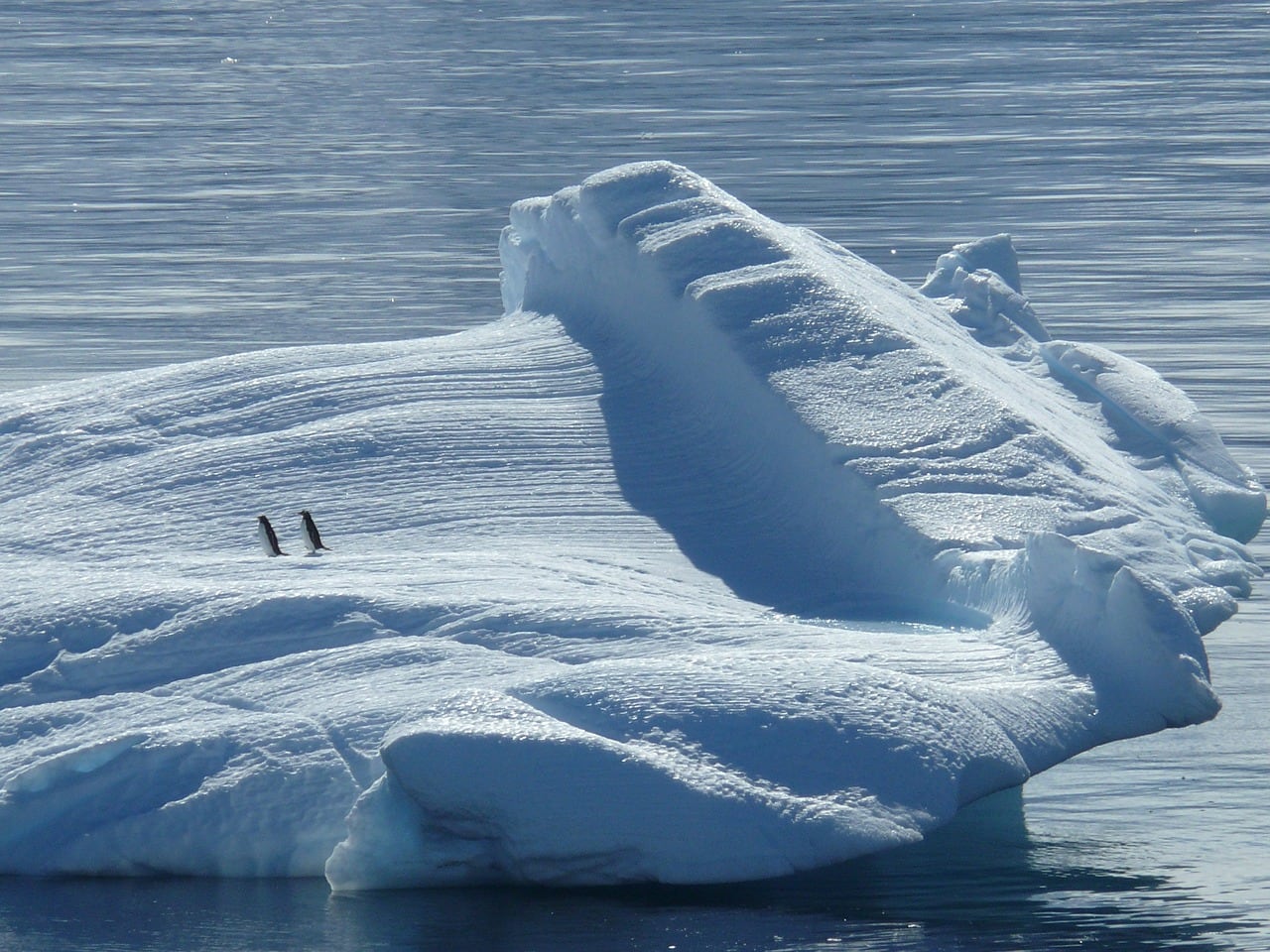 iceberg