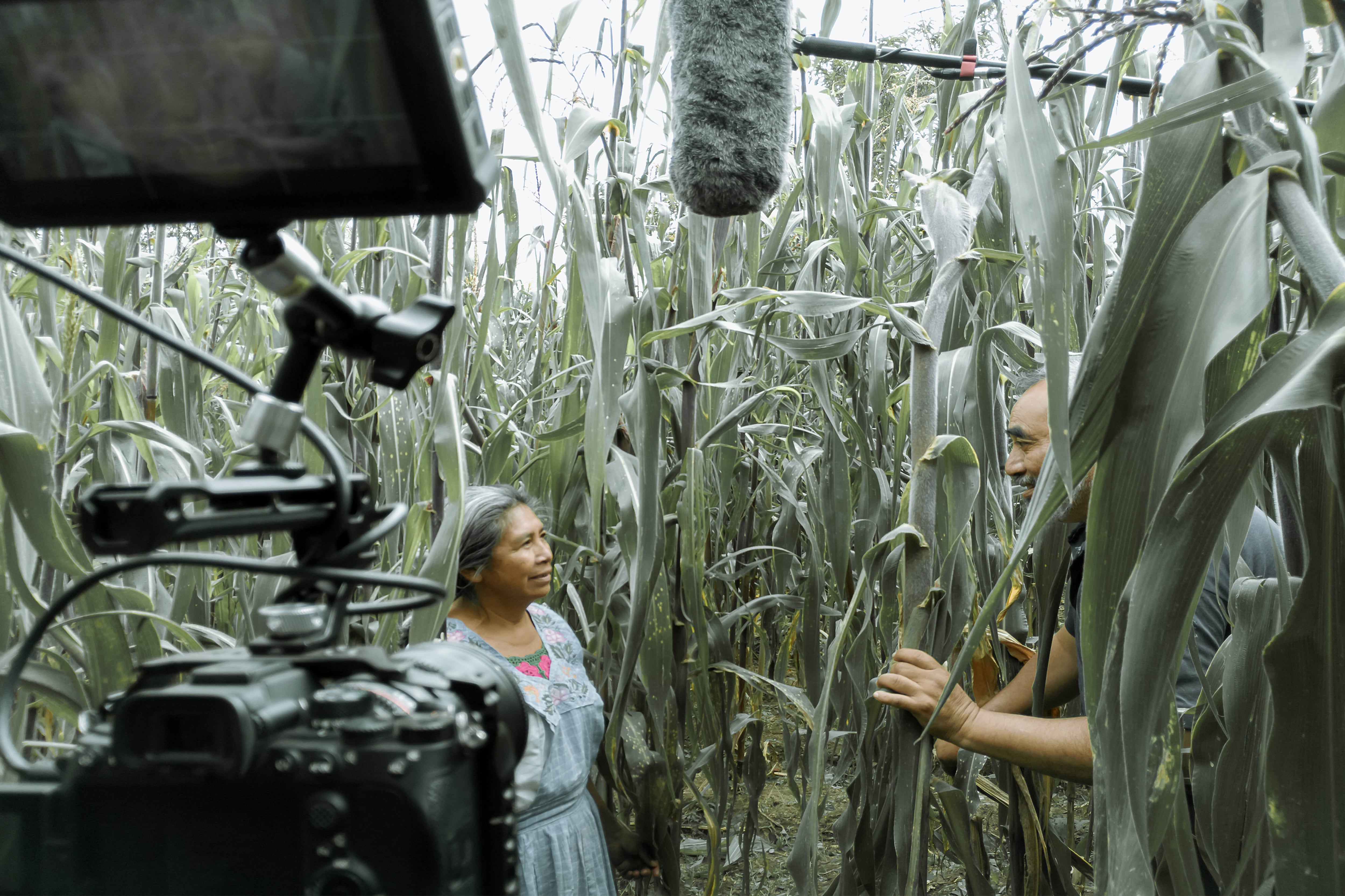 Cortometraje Techiq de estudiantes y egresados BUAP es nominado al Ariel 2026.