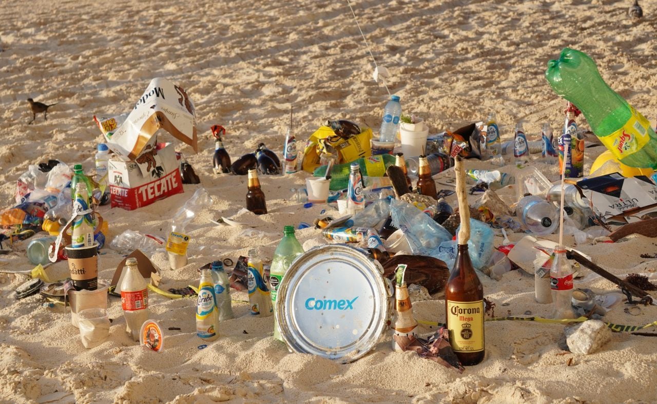 Estas son las playas más contaminadas de México, según Cofepris