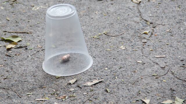 Reportan balacera en Zitácuaro, Michoacán; entre sujetos armados y fuerzas federales y estatales.