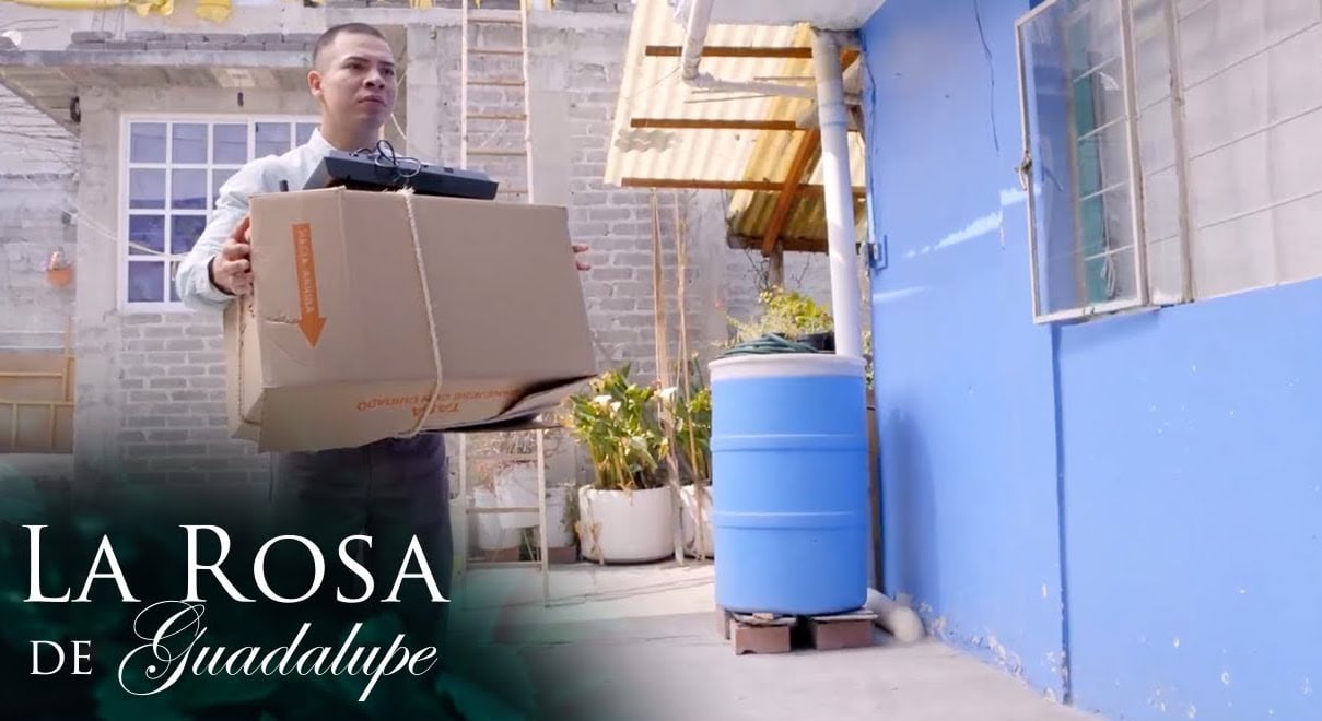 La Rosa de Guadalupe: ¿De qué trata “Bruto”?