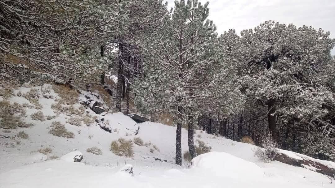 Nieve en Cofre de Perote, Veracruz
