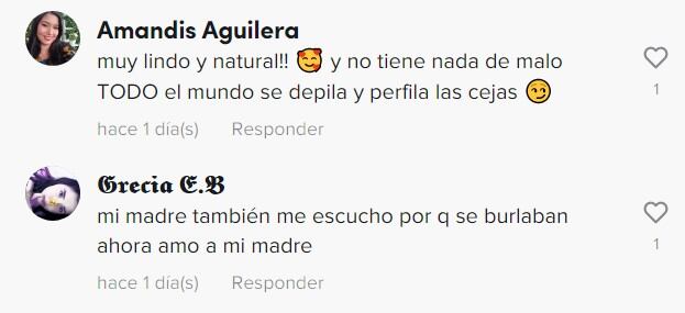 Comentarios