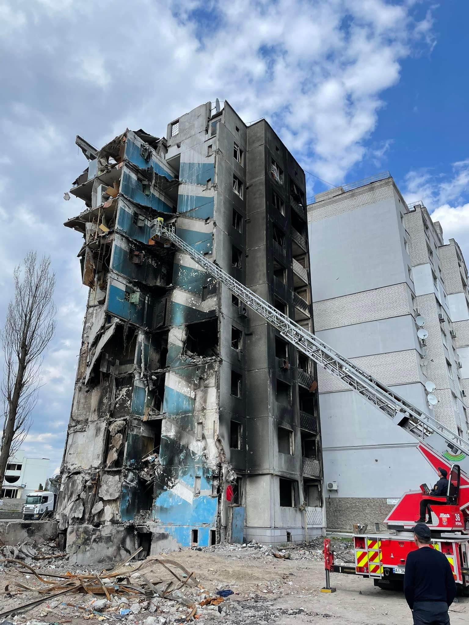 Rescatan a gatita de edificio bombardeado en Ucrania