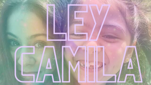 Ley Camila, violencia vicaria