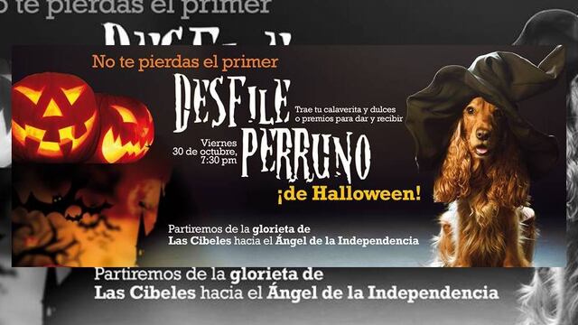 El próximo 30 de octubre no te pierdas este evento dedicado a los consentidos de cuatro patas. ¡Asiste y disfruta con ellos!