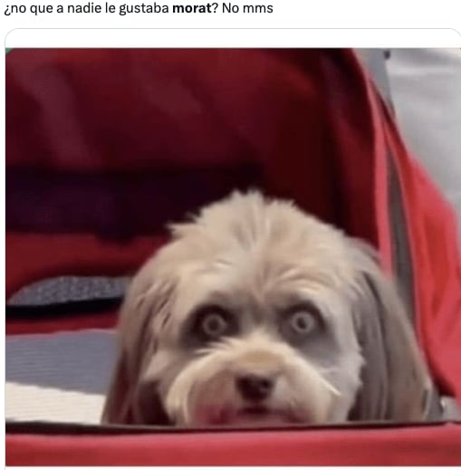 Se agotaron los boletos de Morat y los memes no podían faltar