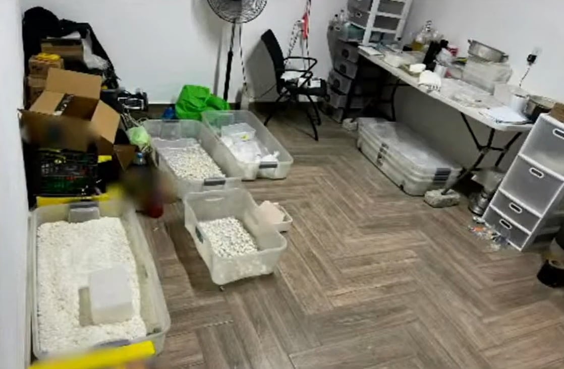 Más de 200 kg de cocaína asegurada en CDMX