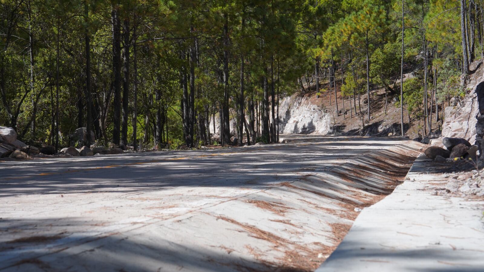 Gobierno de México avanza en la meta de construir más de 2 mil km de Caminos Artesanales