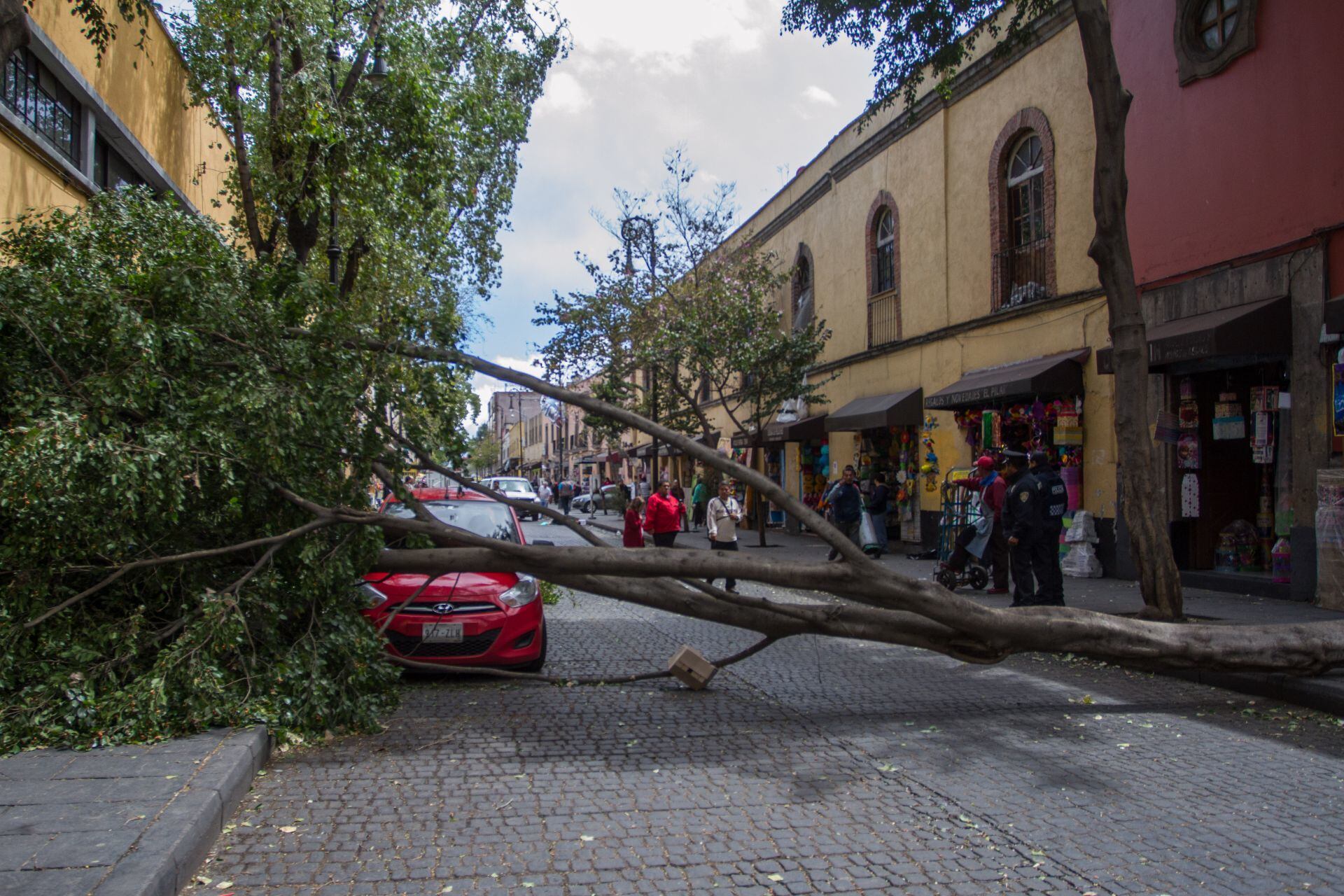 Fuertes rachas de viento