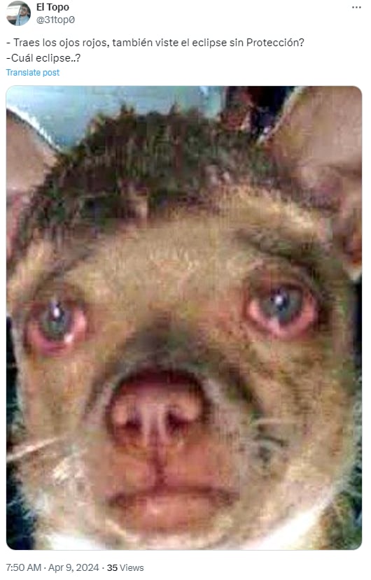 Memes de ojos rojos por el eclipse