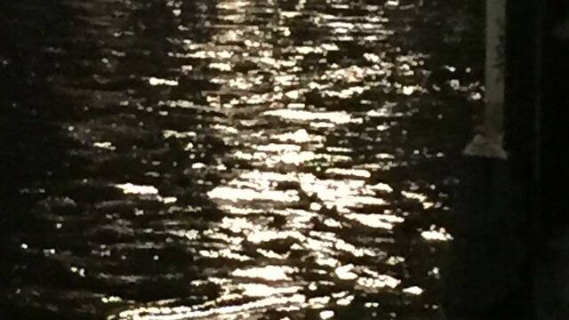Xochimilco