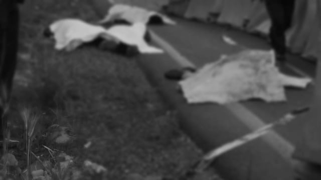 Cuerpos hallados en la México-Toluca. Con el tiro de gracia.