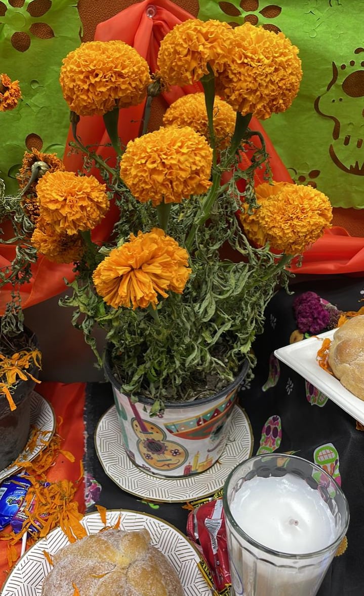 Flor de cempasúchil