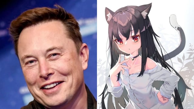 Elon Musk imagina la existencia de chicas gato ¿en robot sexuales?