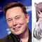 Elon Musk saca su lado morboso imaginando la existencia de las chicas gato