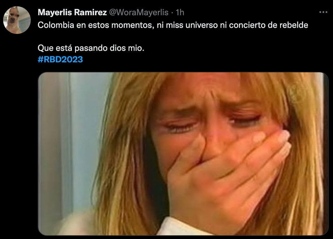 Memes RBD
