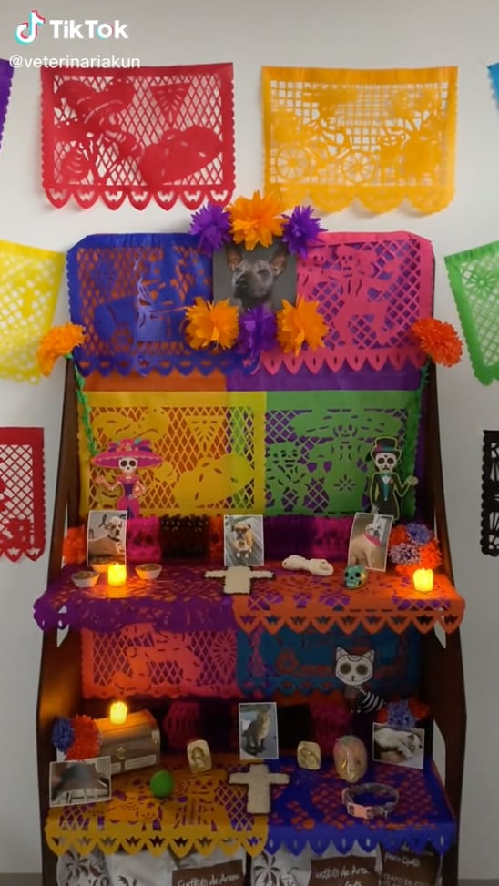 Ejemplo de altar de muertos para mascotas.