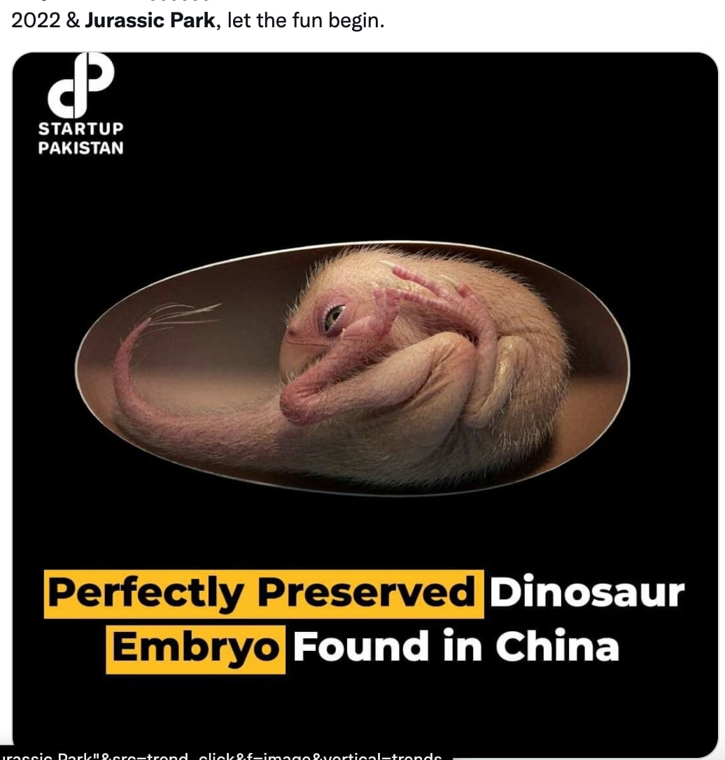 Hallazgo de embrión de dinosaurio desata memes de 'Jurassic Park'