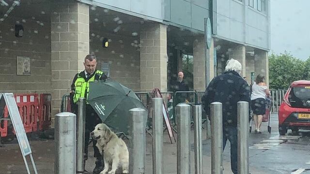 Guardia cubre de la lluvia a un perro