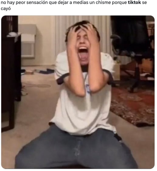 Memes de la caída de TikTok
