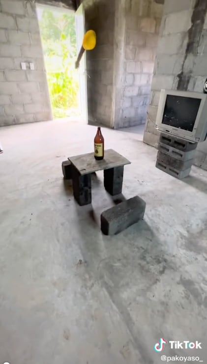 TikTok sobre cómo independizarte con tu novia